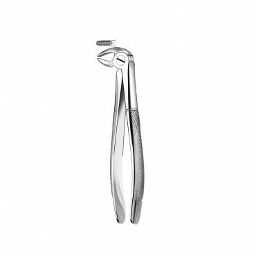 Forceps Inferior Anteriores y Premolares Forceps Inferior Anteriores y Premolares