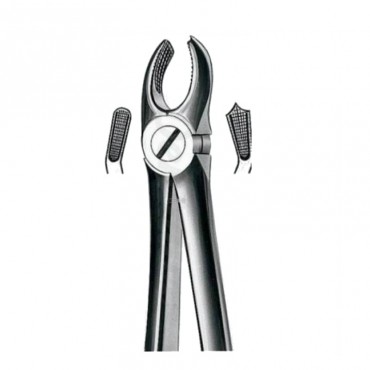 Forceps Superior Molares Derechos Forceps Superior Molares Derechos