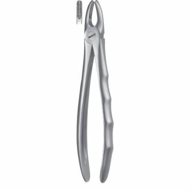 Forceps Superior Dientes Anteriores Liquid Steel Forceps Superior Dientes Anteriores Liquid Steel