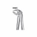 Forceps Superior Premolares Liquid Steel LS13
