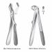 Fórceps Klein Niño Molar Superior o Inferior