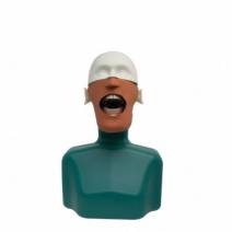 Fantoma Dental Maniquí Completo con Tipodonto Clónico ANA4