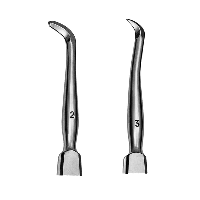 Sindesmotomo Chompret Curvado 16 cm de Carl Martin