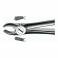 Forceps E17 para Molares de la Derecha 