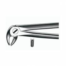 Forceps E13 para Incisivos y Premolares Inferiores 
