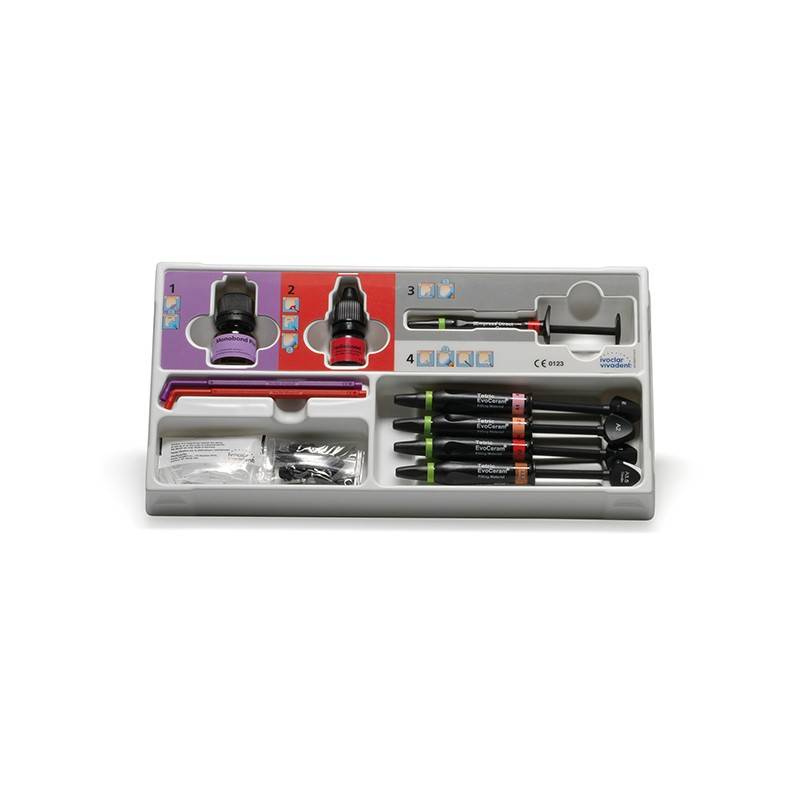 Ceramic Repair Intro Kit Reparar Blindajes + Monobond Plus de Vivadent