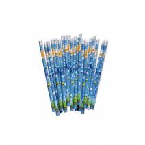 Lápices Divertidos Infantiles Bolsa 48 unidades