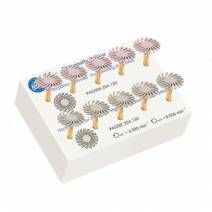 Ruedas de Pulido Set Intro Fresero 10 unidades