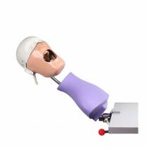 Fantoma Dental Maniquí Completo con Tipodonto AG3, Anclaje a Mesa de Bader