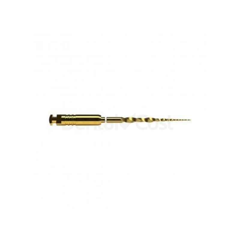 Limas ProTaper Ultimate SX Opener 19mm Rotatorias 6 unidades Maillefer