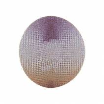 Disco de Diamante 254 mm para Recortadora de Mestra