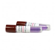 Indicador Biológico Steam Bionova Caja 100 Unidades