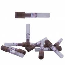 Indicador Biológico ClickTest Esporas Esterilización Vapor 10u Bader