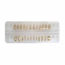 Dientes Reposición Tipodonto Niño Caja 24 uds Masters