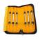 Kit Instrumentos Composite Titanio Dorado 6 uds con Estuche Masters