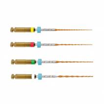 Limas Recíprocas Ni-Ti B5 One RECI Sterile Coniciada 04 L 25mm Conformado 5 uds MicroMega Coltène