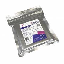 Planchas Termoplásticas Rígidas Clear 1,5mm 127x127mm Transparente 15 uds Medicaline