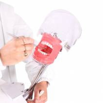 Fantoma Completo Simplicity Bader con Tipodonto tipo Nissin Adulto y Anclaje a Mesa