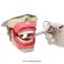 Modelo Simulador de Anestesia Dental Bader con Sensor