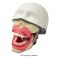 Modelo Simulador de Anestesia Dental Bader con Sensor
