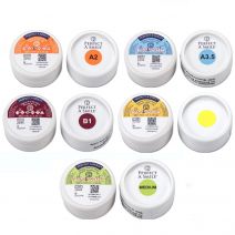 Perfect A Smile Pintura para Ponticos Tarro 4g Reliance Orthodontic