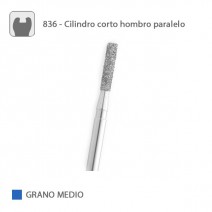 Fresa Diamante Cilindro Corto Hombro Paralelo 836 Grano Medio FG
