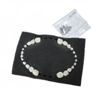 Dientes de Reposición para Tipodonto Nissin Pediátrico