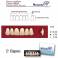Dientes Acrílicos Newcryl Superiores Color B2