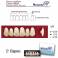 Dientes Acrílicos Newcryl Superiores Color C2