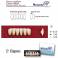 Dientes Acrílicos Newcryl Inferiores Color A3