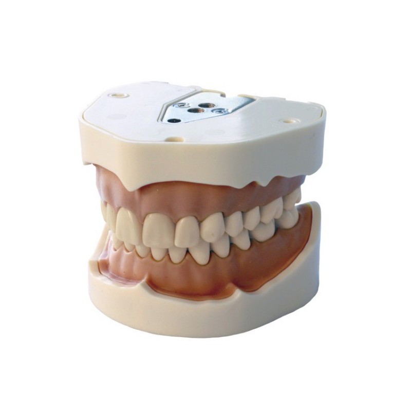 Molde silicona para modelo desdentado BADER®️ DENTAL - Bader®️ Dental